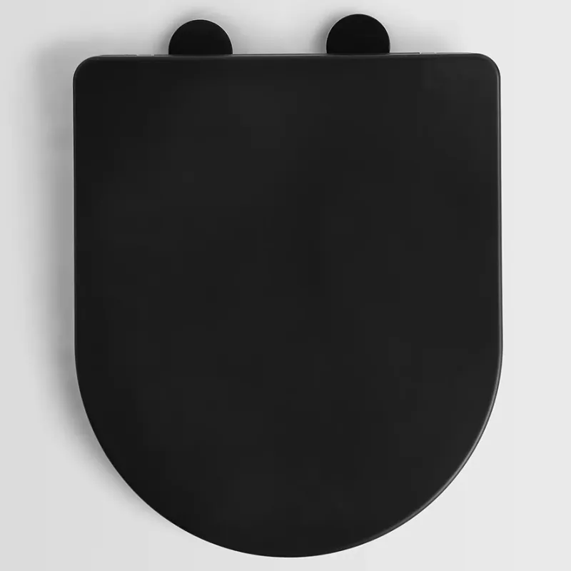Lavabo Studio gulvtoalett (BTW), matt sort, inkl. toalettsete