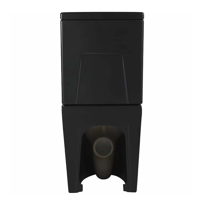 Lavabo Studio gulvtoalett (BTW), matt sort, inkl. toalettsete